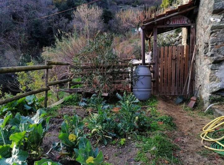 La Casa Di Mo Albisola Superiore Exterior foto